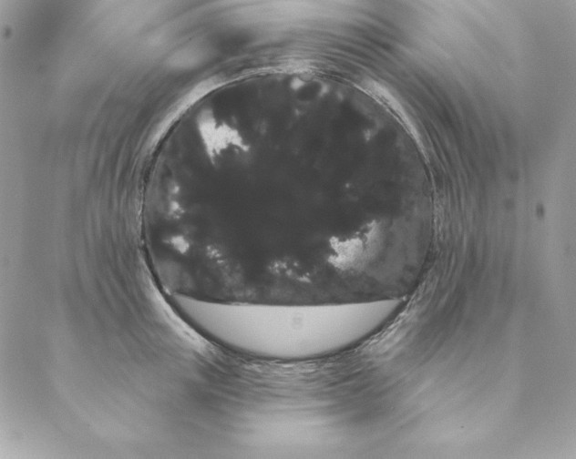 X0000088590851200706151734