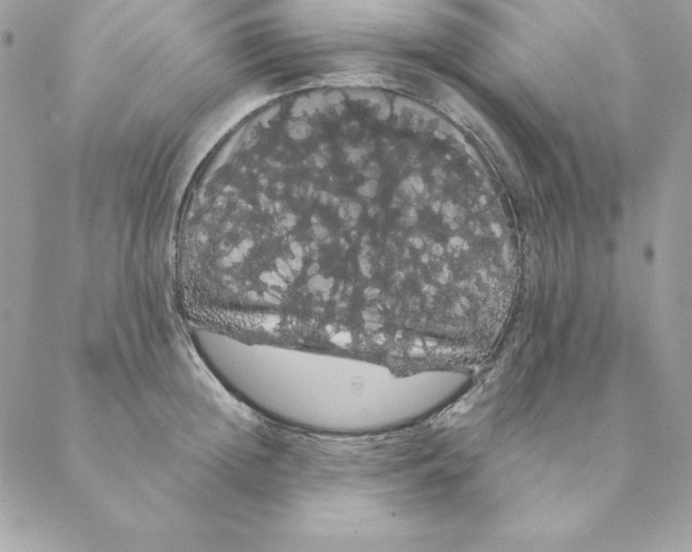 X0000088590852200706151734