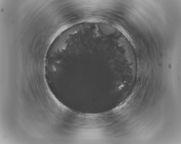 X0000088590853200706151734