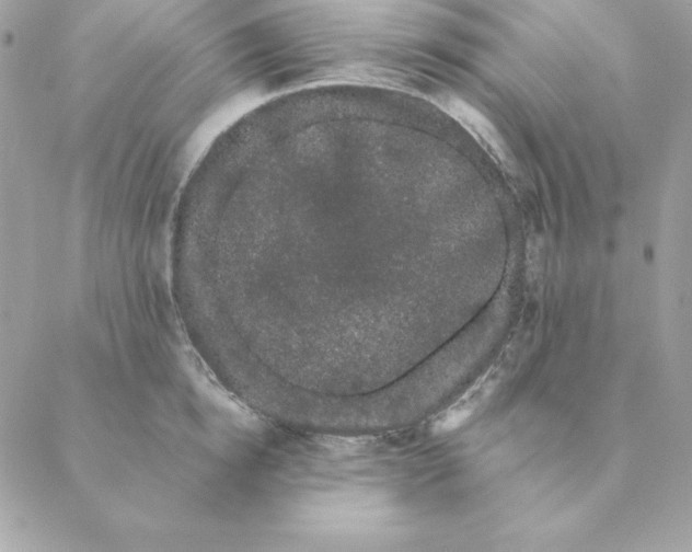 X0000088590854200706151734