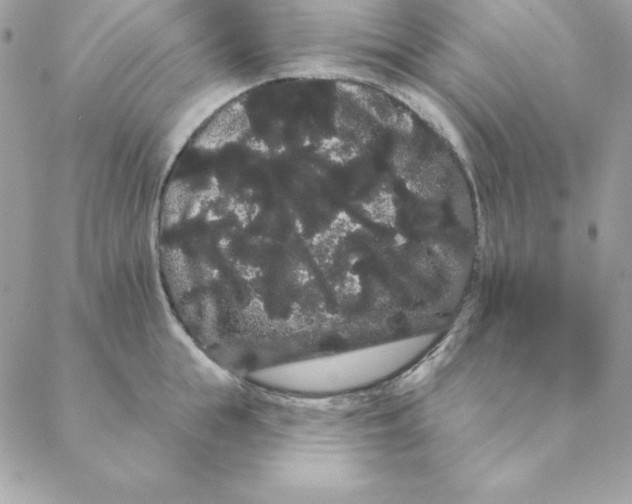 X0000088590855200706151734