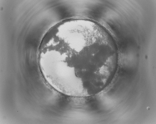 X0000088590856200706151734