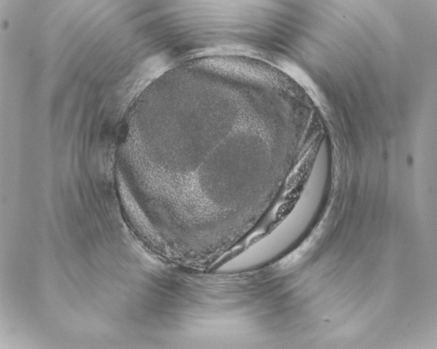 X0000088590857200706151734