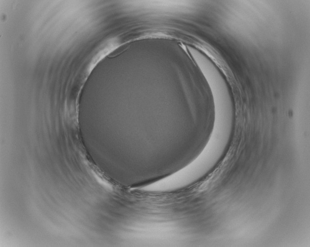 X0000088590858200706151735