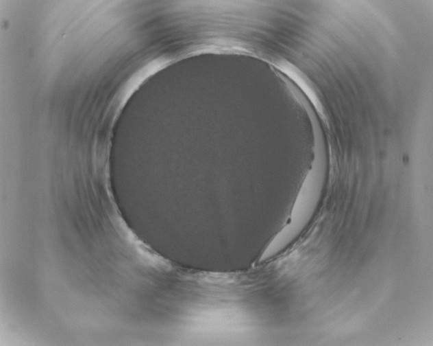 X0000088590861200706151735