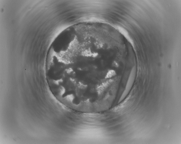 X0000088590863200706151735