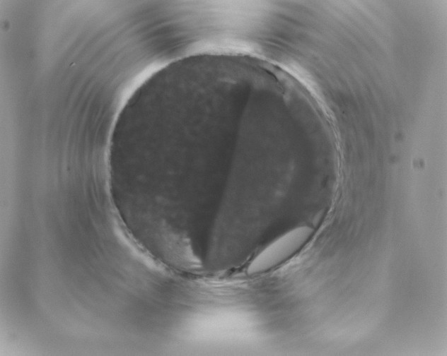 X0000088590864200706151735