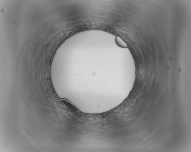 X0000088590865200706151734