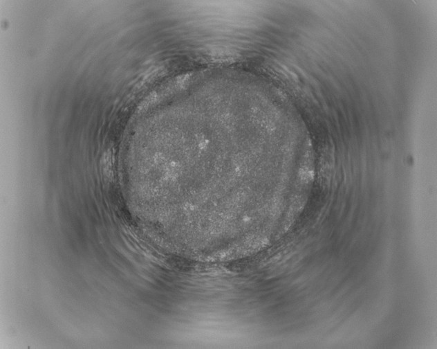 X0000088590866200706151734