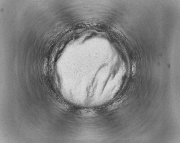 X0000088590867200706151734