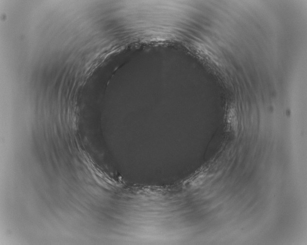 X0000088590868200706151734