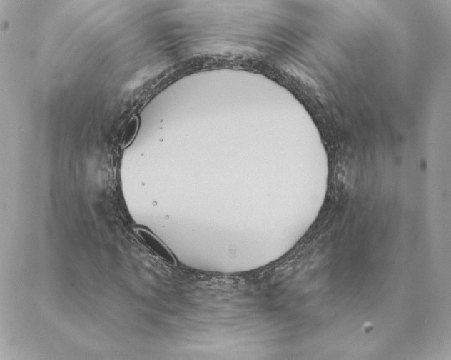 X0000088590869200706151734