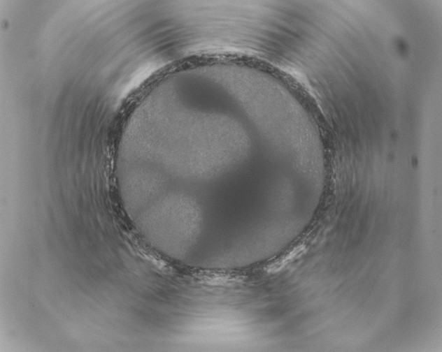 X0000088590871200706151734