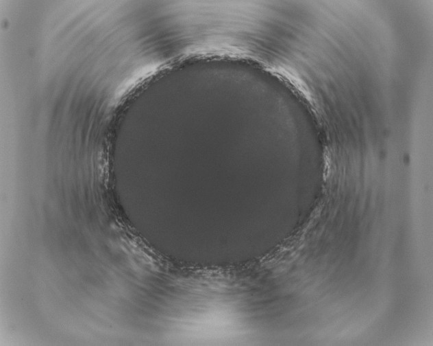 X0000088590872200706151734