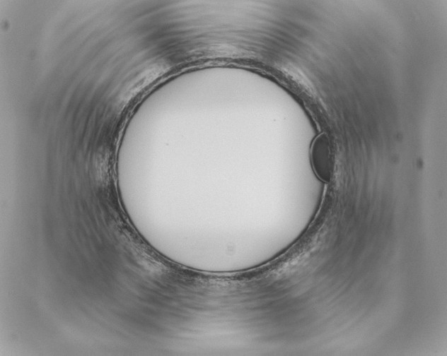 X0000088590873200706151734