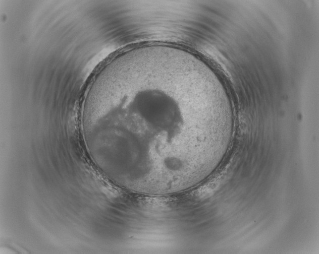 X0000088590875200706151734