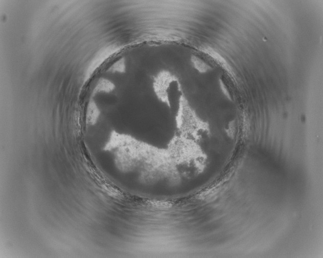 X0000088590878200706151734