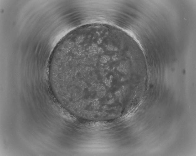 X0000088590879200706151734