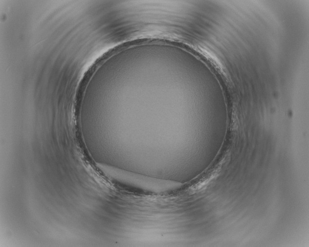 X0000088590880200706151734