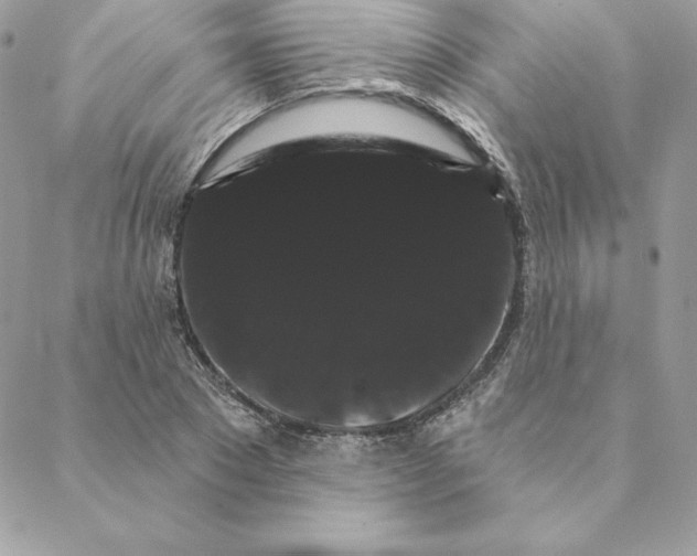 X0000088590881200706151734