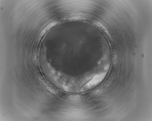 X0000088590882200706151734