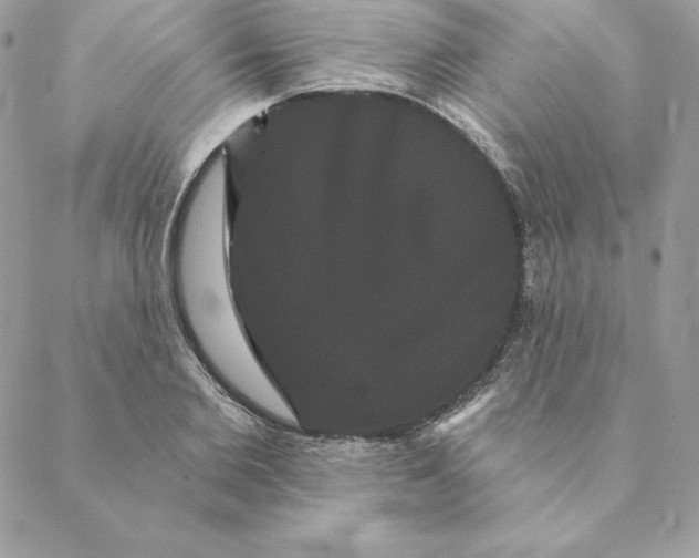 X0000088590885200706151733