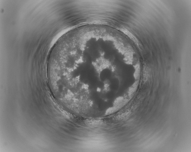 X0000088590886200706151733