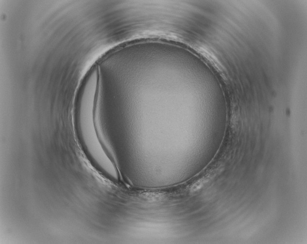 X0000088590888200706151733