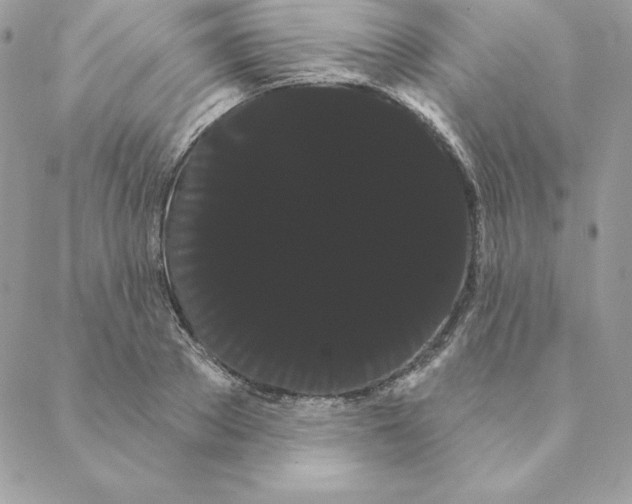 X0000088590889200706151733