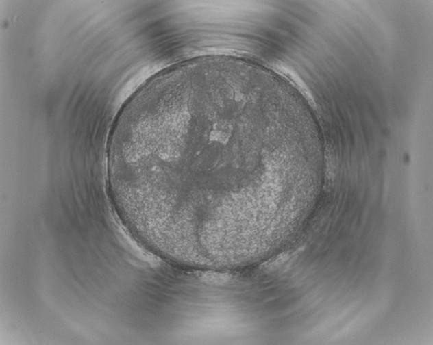 X0000088590890200706151733