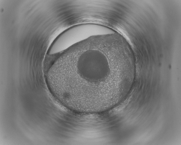 X0000088590891200706151733