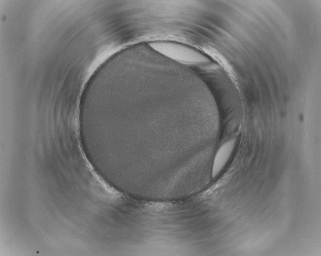 X0000088590894200706151733