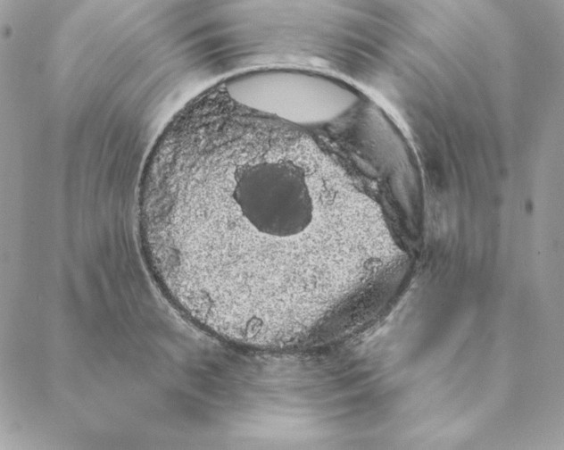 X0000088590895200706151733