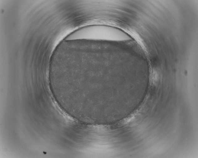 X0000088590896200706151733