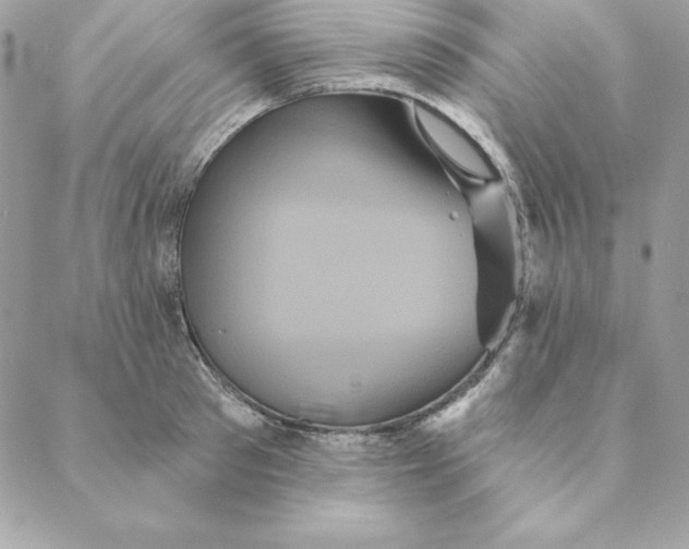 X0000088590897200706151733