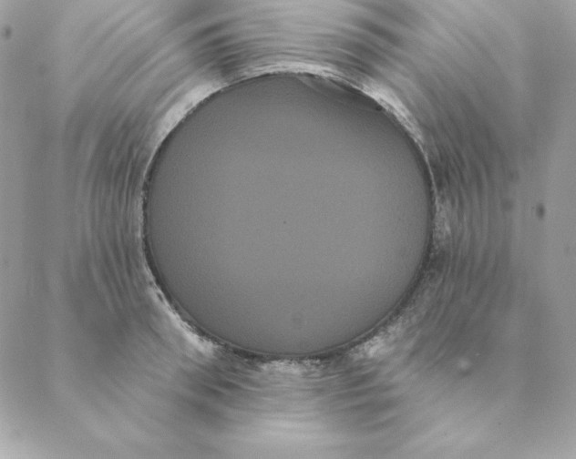 X0000088590898200706151733