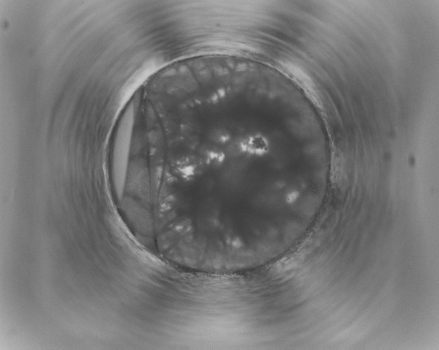 X0000088590899200706151733