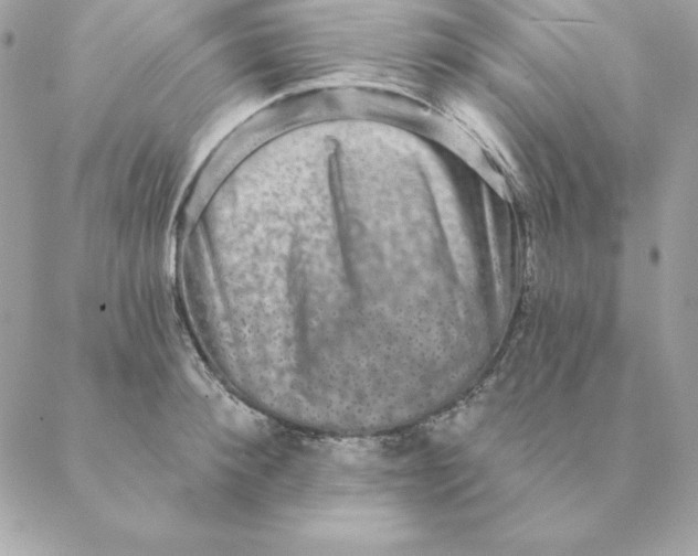 X0000088590900200706151733