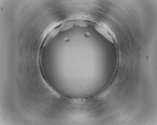 X0000088590901200706151733