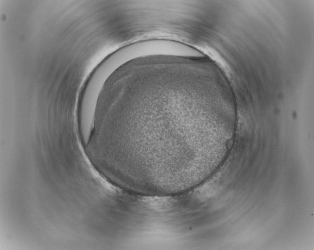 X0000088590902200706151733