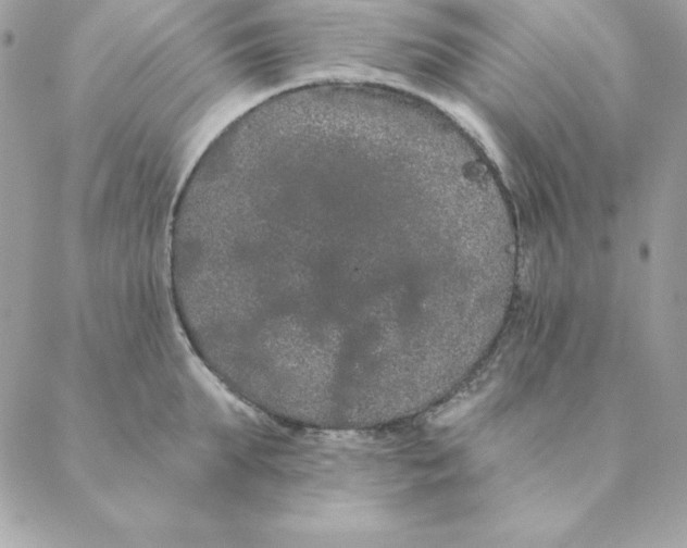 X0000088590903200706151733