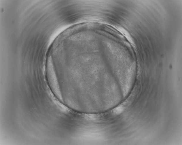 X0000088590904200706151733