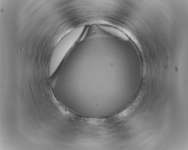 X0000088590905200706151733