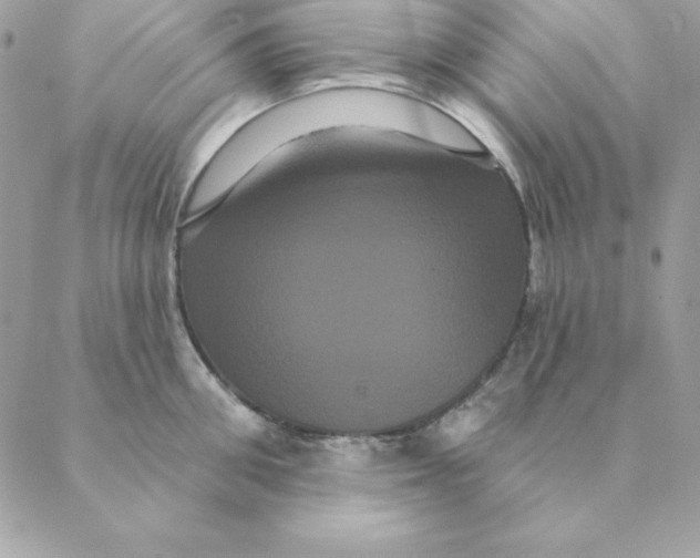 X0000088590906200706151733