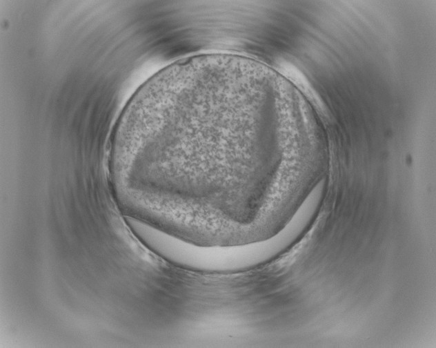 X0000088590908200706151733