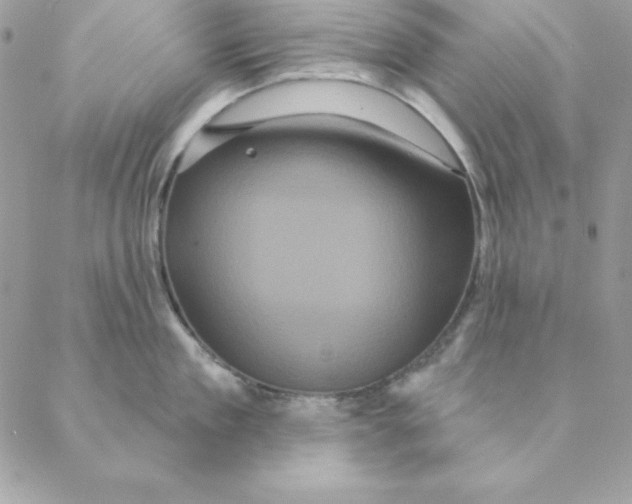 X0000088590909200706151733