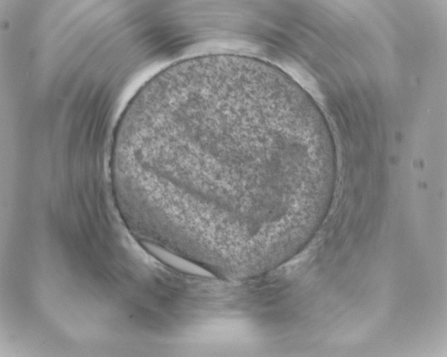 X0000088590912200706151733