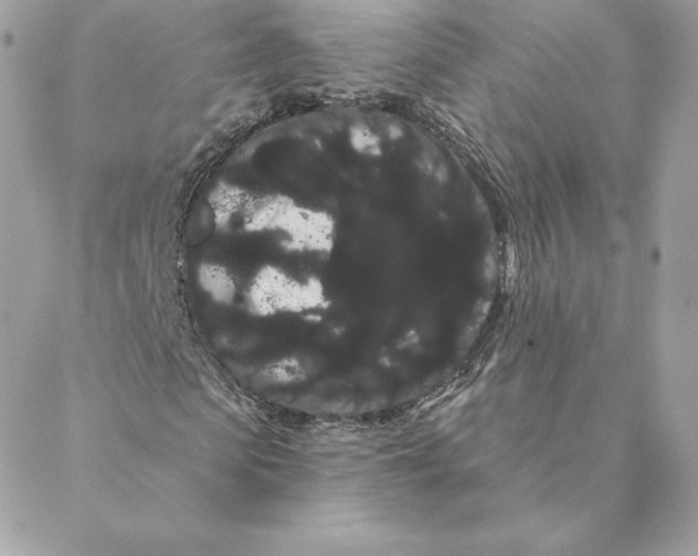 X0000088590913200706151732