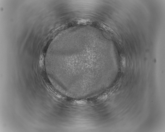 X0000088590914200706151732