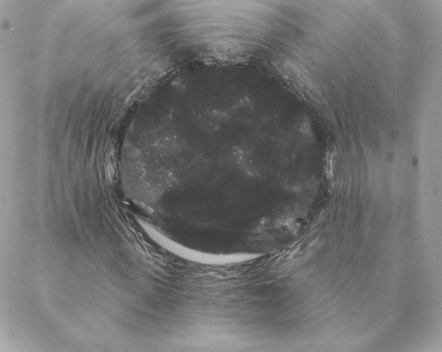 X0000088590915200706151732